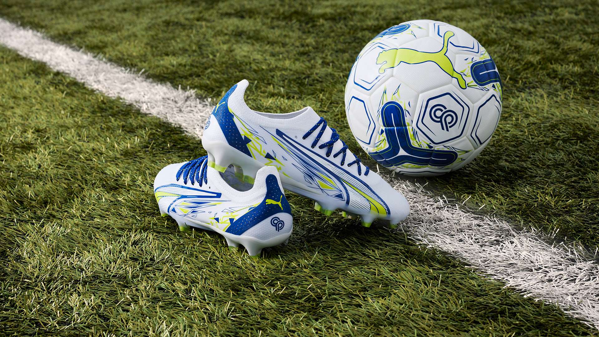 注意动态的 注意动态的